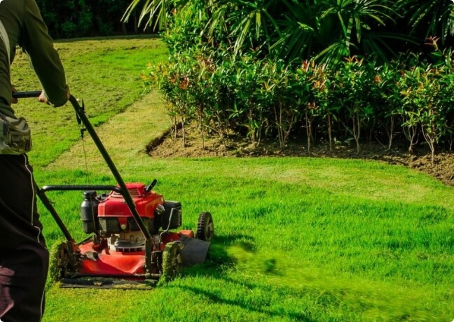 Full backyard landscape design and renovation