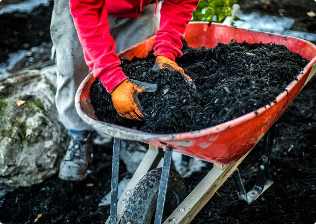 Mulch installation and garden bed maintenance