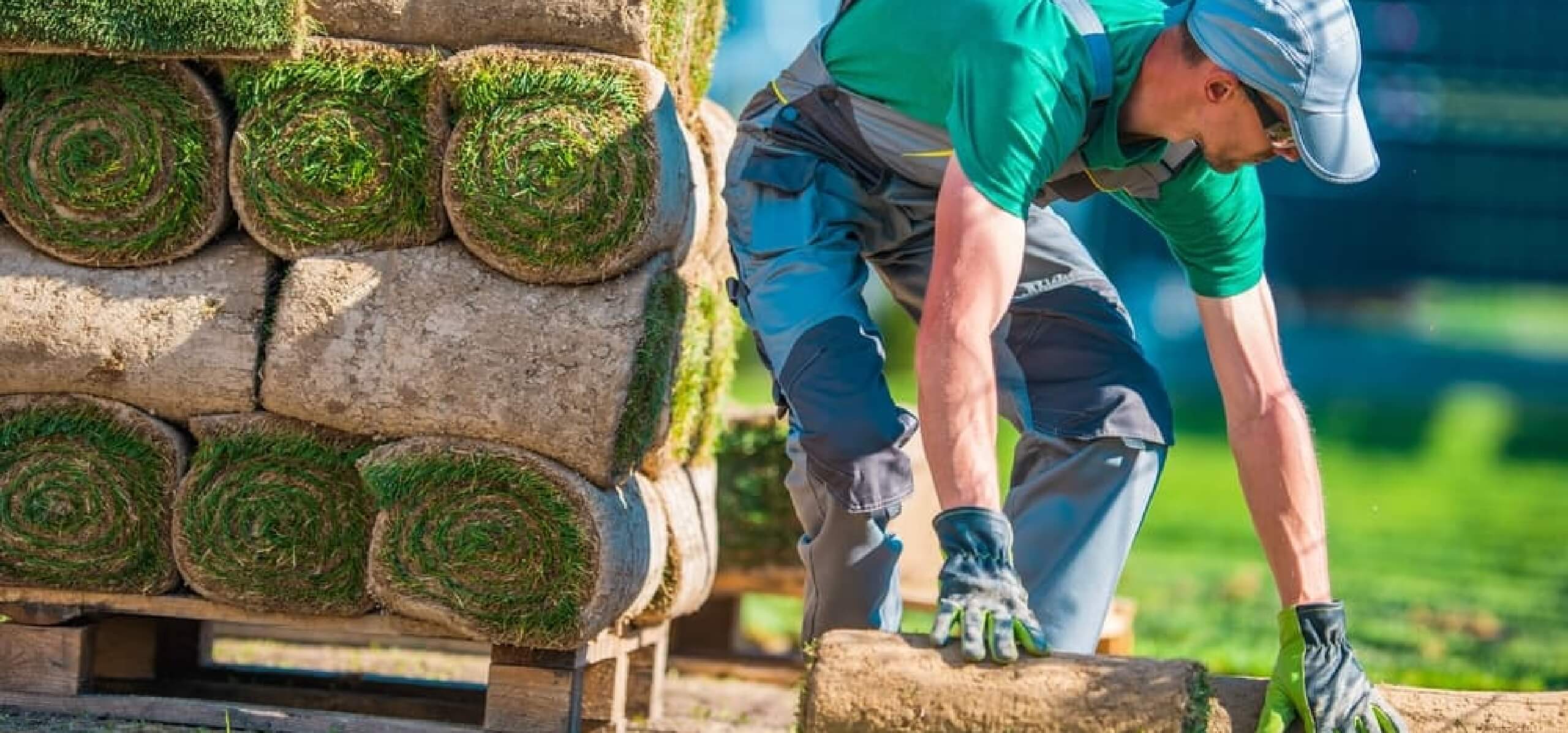 Seasonal yard cleanup — spring and fall service
