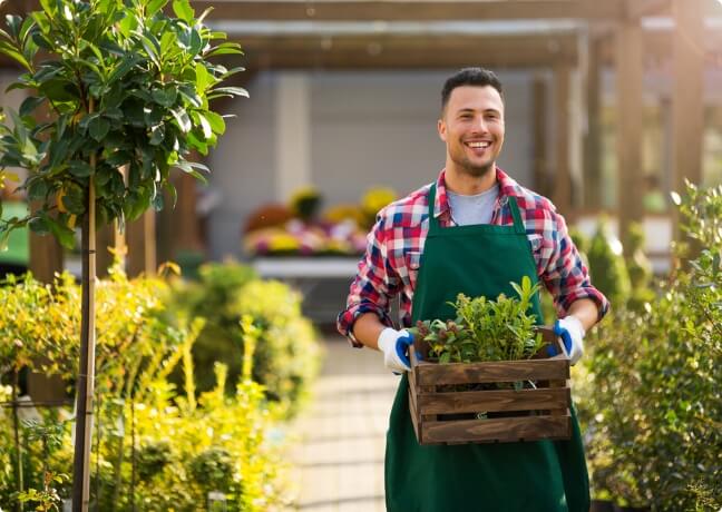 Lawn mowing and maintenance services
