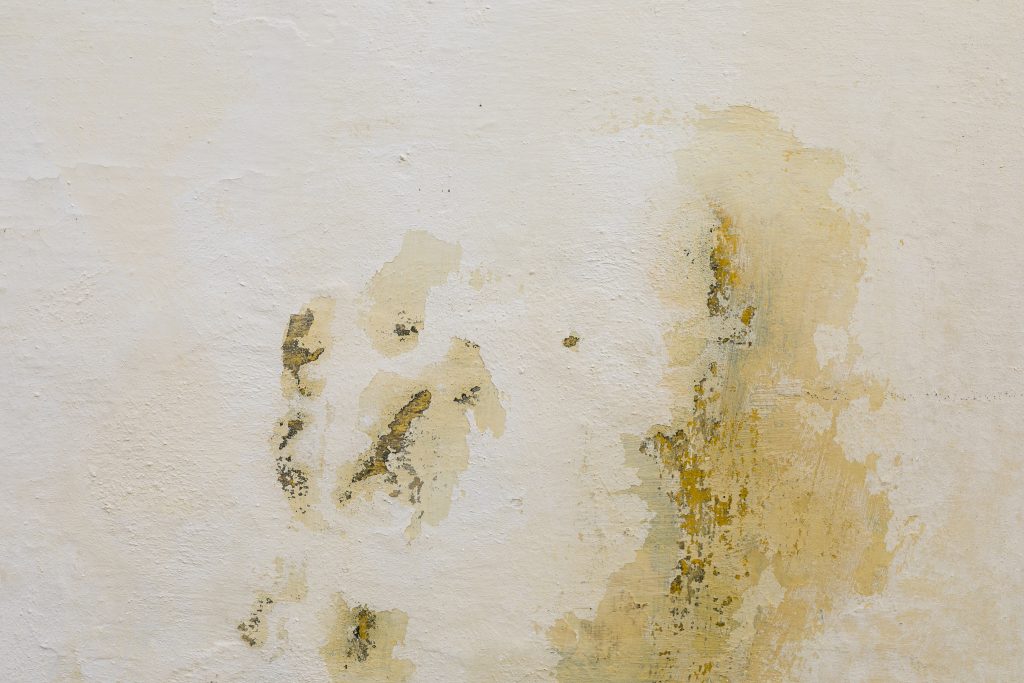 Mold and water stains spreading on a painted wall