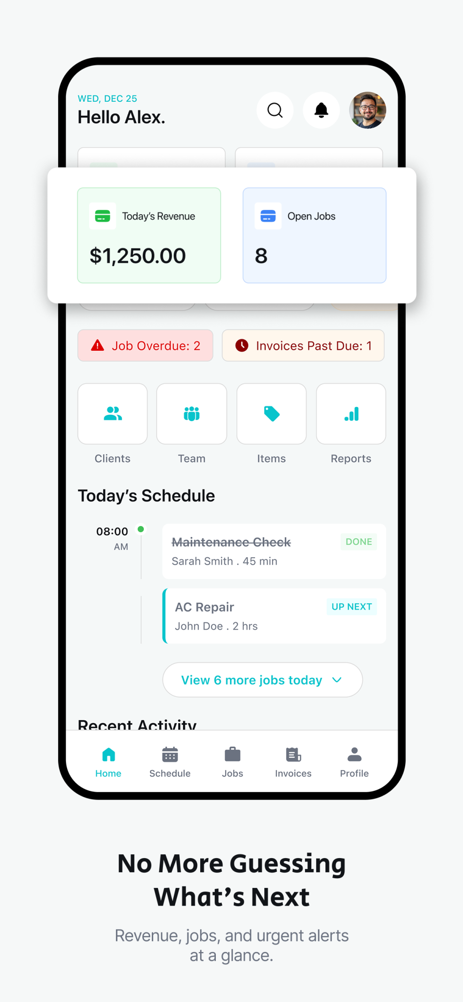 AllBetter Field app — business dashboard with revenue and schedule