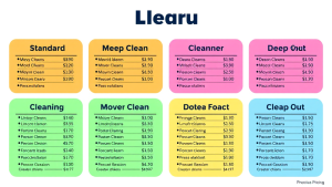Profitable cleaning services to offer guide