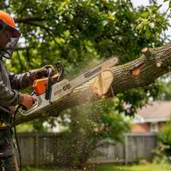 AllBetter Field for tree care businesses