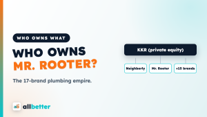 Who owns Mr. Rooter — ownership chain: KKR, Neighborly, 17 home-service brands